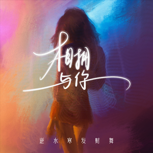 客户视频小蛇导航
